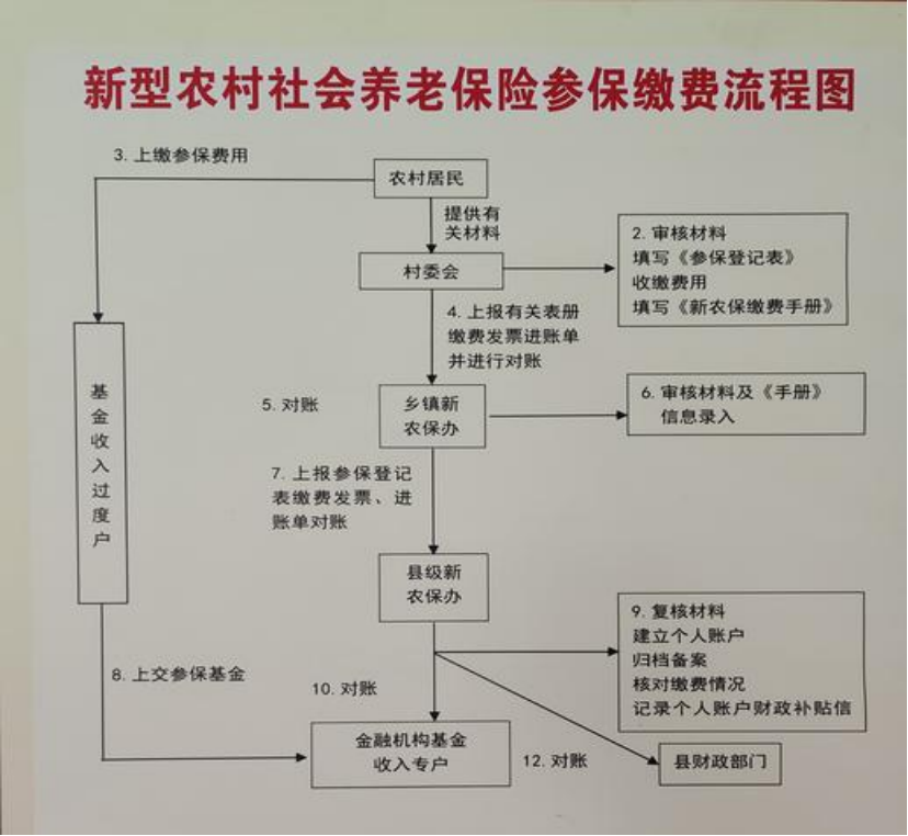 梧州农村医保和社保有什么区别(农村医保跟社保的区别)